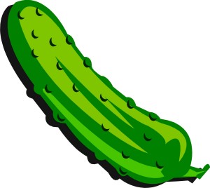 pickle-pickles-27629021-1500-1340
