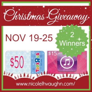 Christmas giveaway