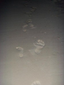 footsteps 4